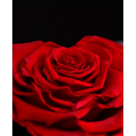 Cœur En Rose Artificielle Rouge - Décoration Amour éternel En Mousse - Neuf Avec étiquettes