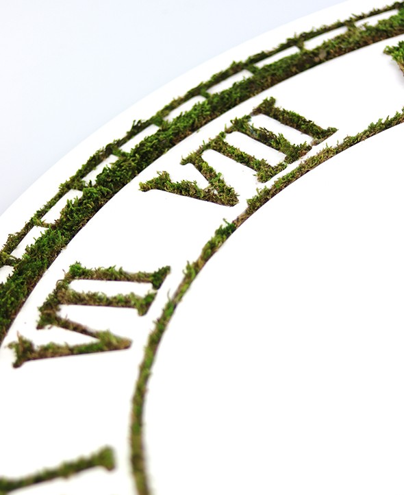 Cadre Horloge végétalisée • Max le Fleuriste - Livraison de fleurs à domicile - Max le Fleuriste