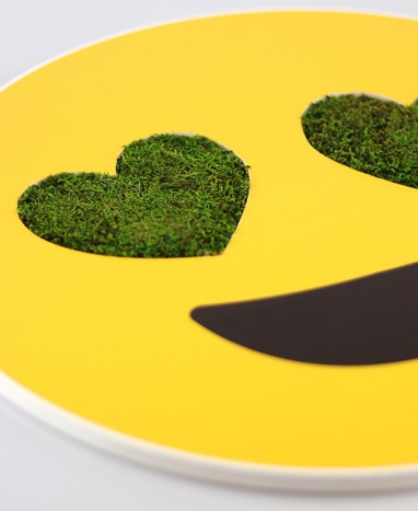 Cadre végétalisé Emoji Cœur • Max le Fleuriste - Livraison de fleurs à domicile - Max le Fleuriste