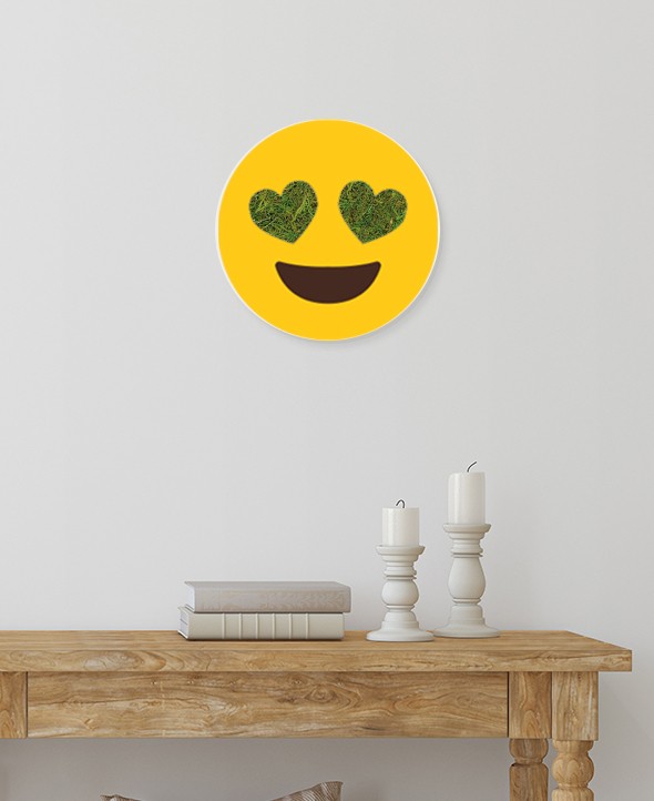 Cadre végétalisé Emoji Cœur • Max le Fleuriste
