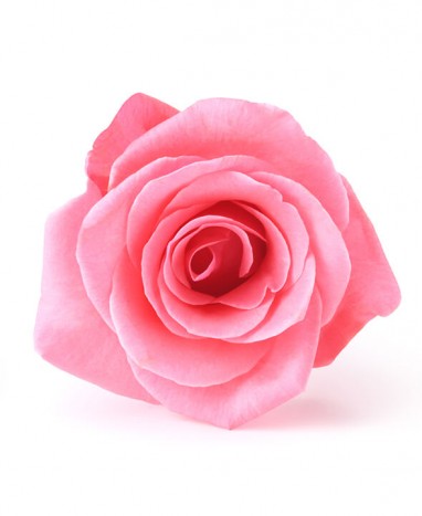 Rose éternelle rose • Livraison à domicile  - Max le Fleuriste