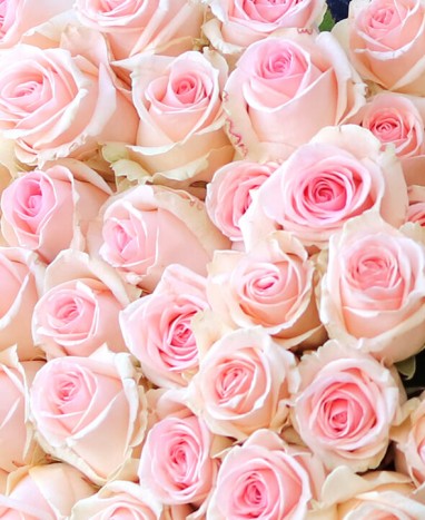 Bouquet de Roses Roses - Livraison à domicile - Livraison de fleurs à domicile - Max le Fleuriste