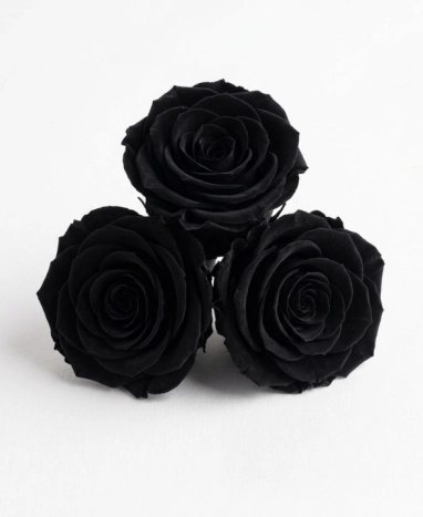 Trio de roses éternelles noires | Cadeau audacieux & intemporel | Max le Fleuriste - Max le Fleuriste